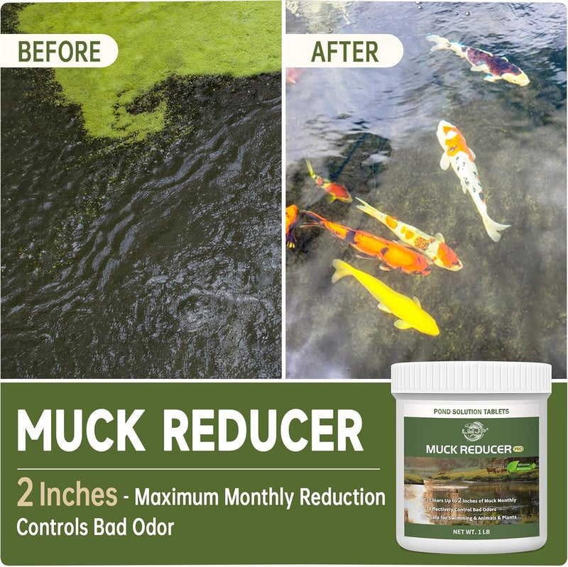 LMJP Muck Reducer - 1LB Natural Sludge Solution Tablets for Ponds & Lakes, Away Muck & Odor Control, Safe for Aquatic Life, Wildlife & Recreation, Treats Up to 6,000 Sq Ft - Image 2